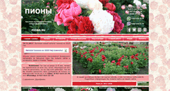 Desktop Screenshot of pions.ru