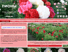 Tablet Screenshot of pions.ru
